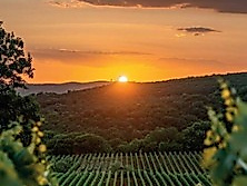 Georgische Weinreise