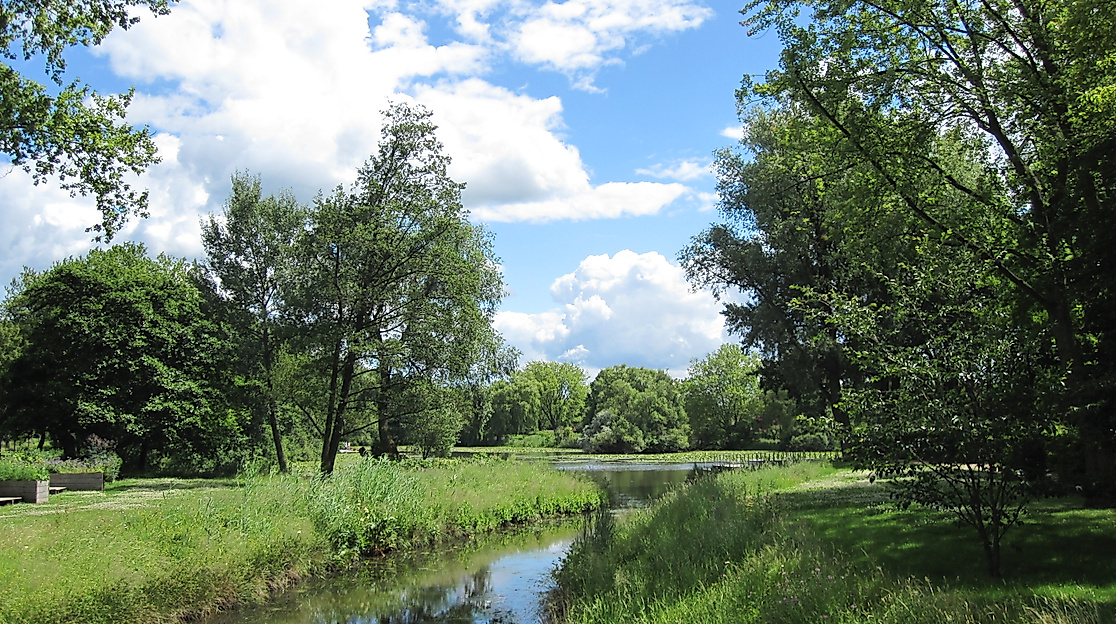 Grüne Parklandschaft im Wilhelmsburger Sommerpark mit Bachlauf, Bäumen und Wiese unter blauem Himmel