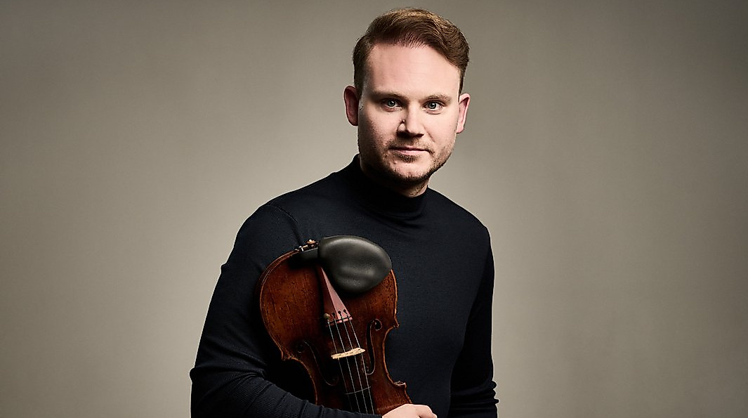Hamburger Kammerorchester / Niklas Liepe