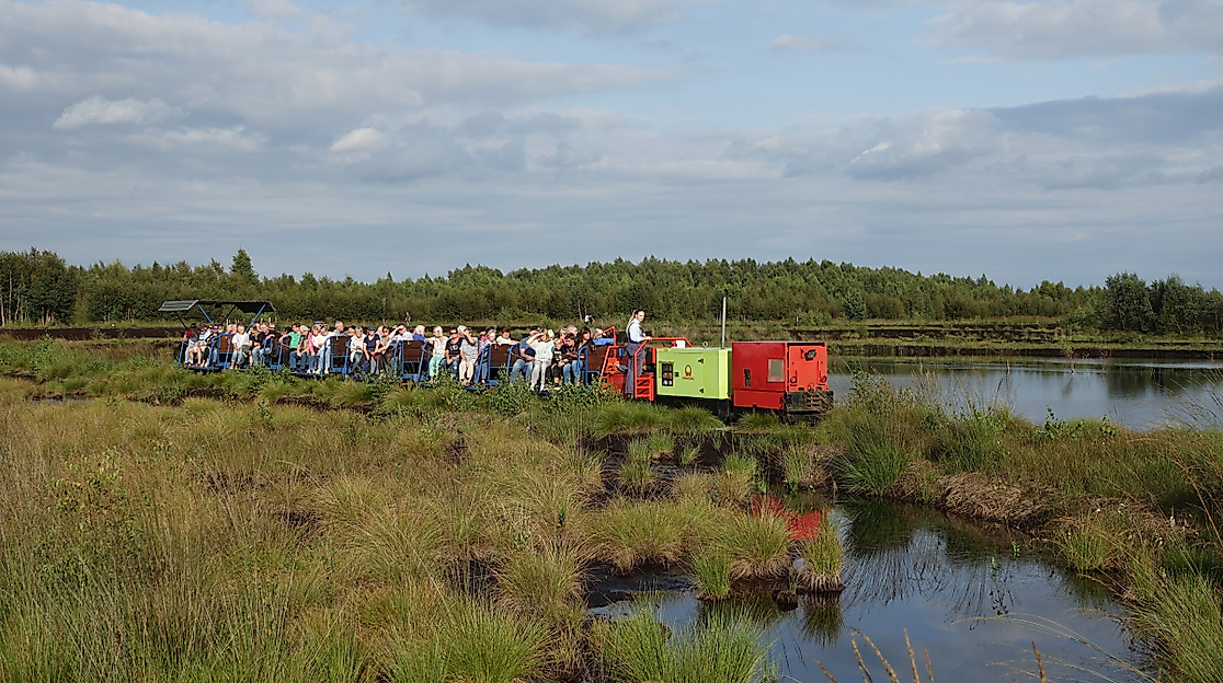 Die Torfbahn fährt durch die  Czerwonka-Schleife