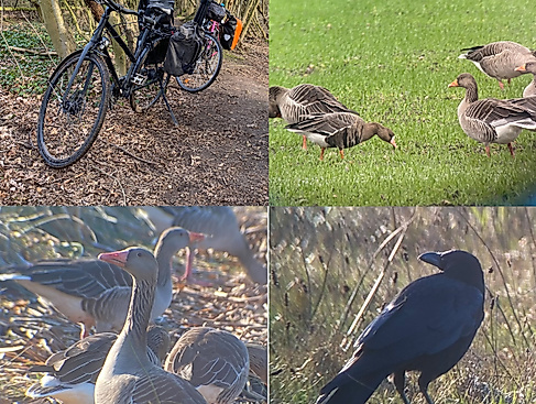naturfuhrung_fahrradtour-collage_2