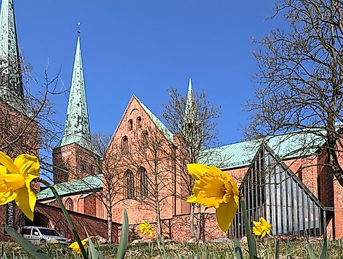 "Offener Kreis am Dom"