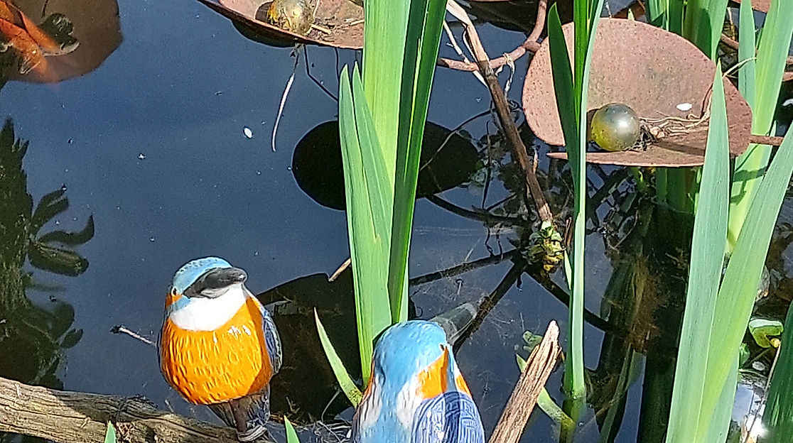 Gartenöffnung Atelier hinterm Gartenzaun