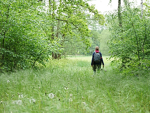 Naturgang