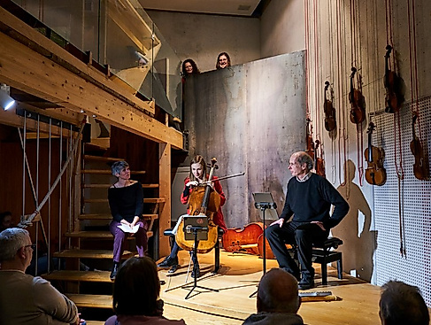 Insight Strings / Workshop Streichinstrumente
