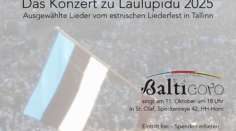 Das Konzert zu Laulupidu 2025