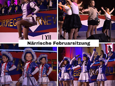NFS - Närrische Februarsitzung - 63. Session