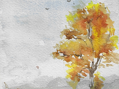 Herbstwald