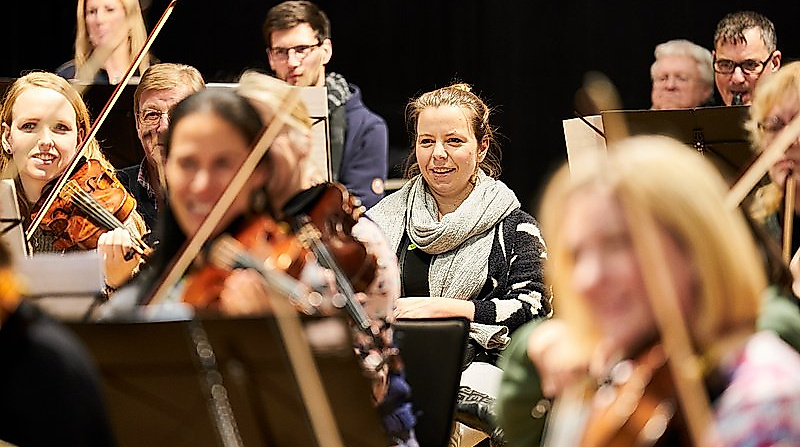 Insight Orchestra