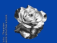 Der Rosenkavalier - Lesung