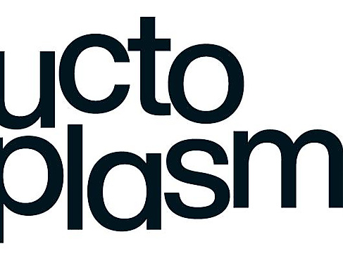 Fluctoplasma Logo