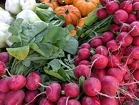 wochenmarkt_21cpixabay