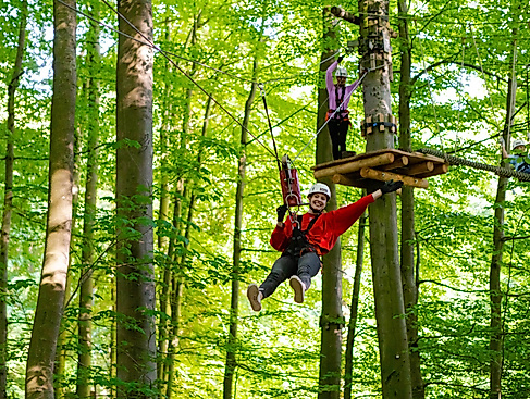 Adrenalin zwischen den Bäumen