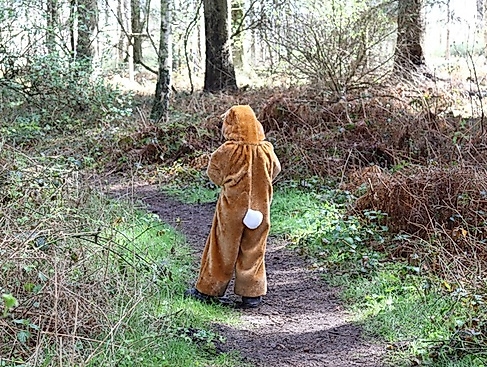 Ostereiersuchen im Wald