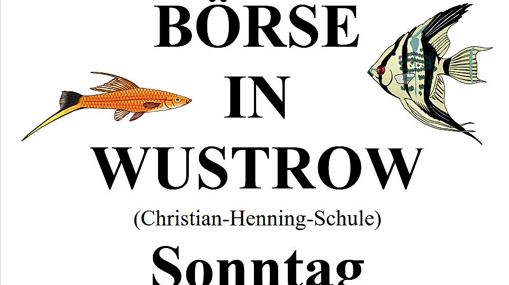 Aquarienverein Lüchow Dannenberg 40zig Jähriges bestehen und 66zigste Zierfischbörse am 08.03.2026