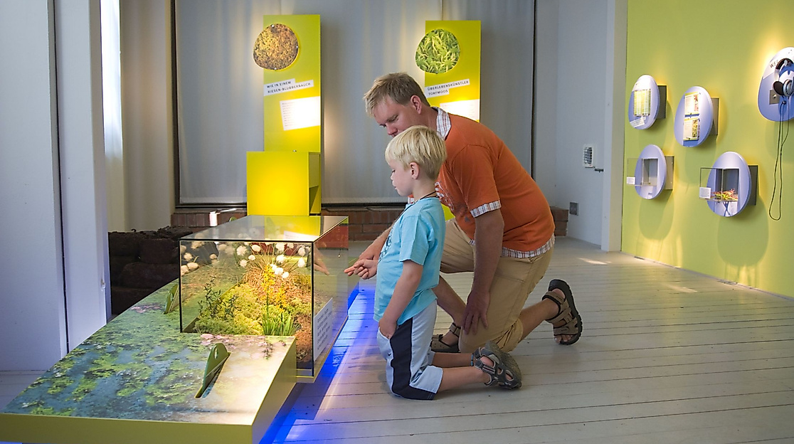 MoorIZ Ahlenmoor - Ausstellung
