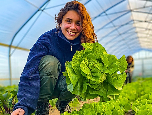 Demeter-Gemüseanbau