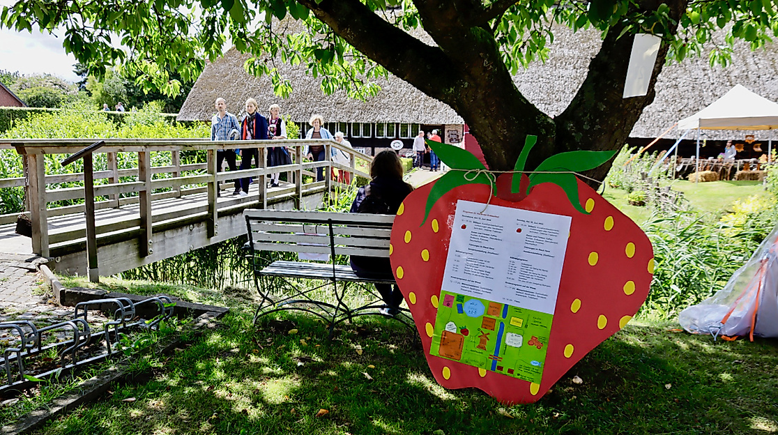 Vierländer Erdbeerfest