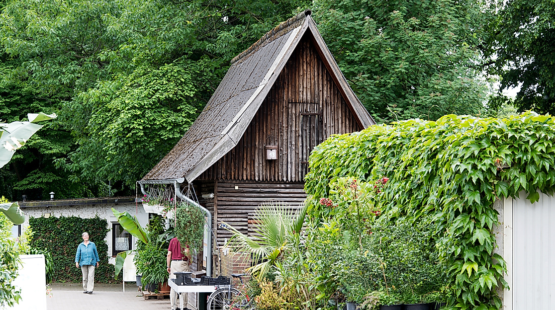 Botanischer Sondergarten Wandsbek