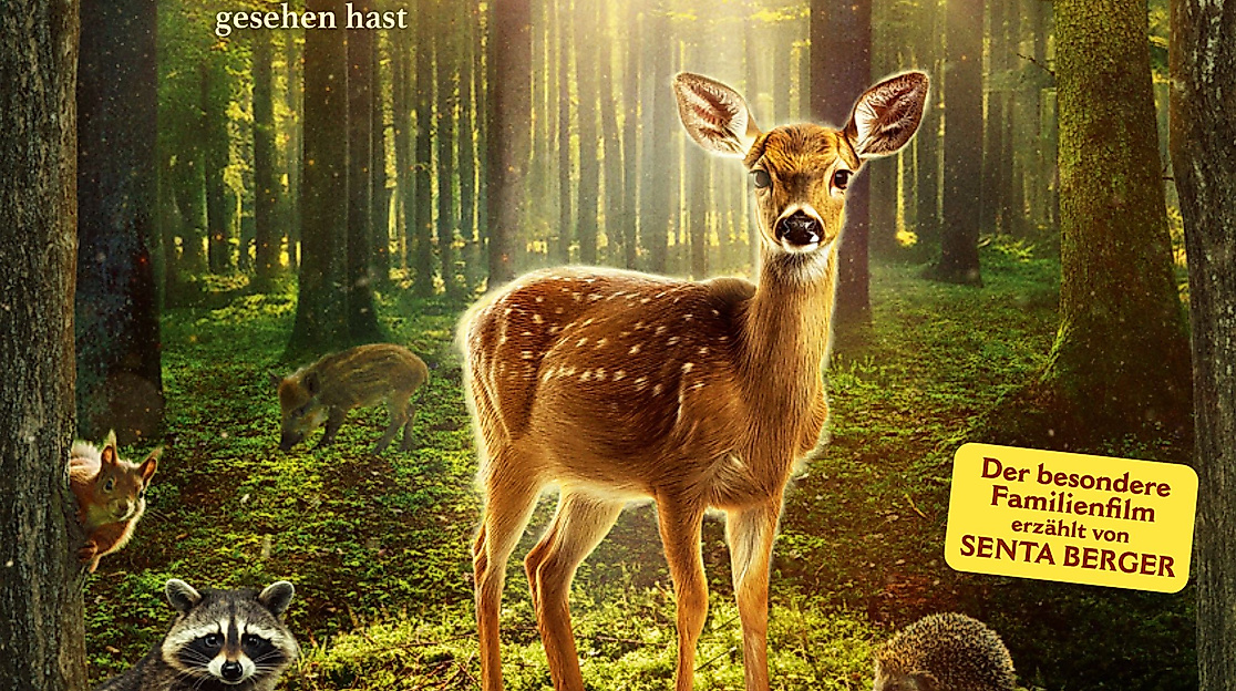 Bambi-Eine-Lebensgeschichte