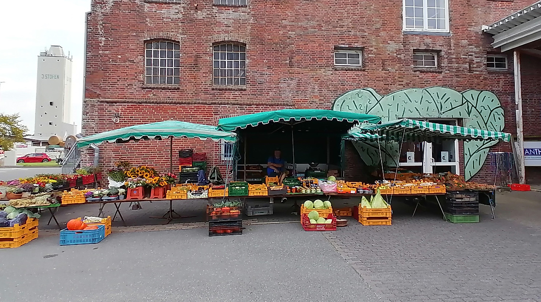 Markttag in Wesselburen