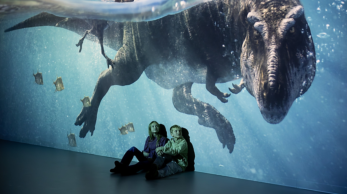 Faszination Dinosaurier-Projektion