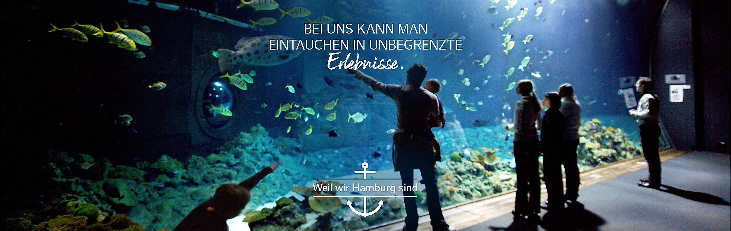 Großes Hai-Atoll im Tierpark Hagenbeck