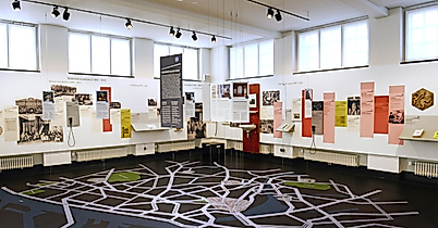 Universitätsmuseum Hamburg