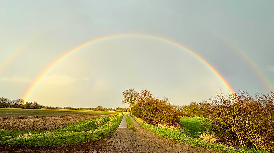 Wendlandschaft-mit-Regenbogen_c_Sigrun-Kreuser