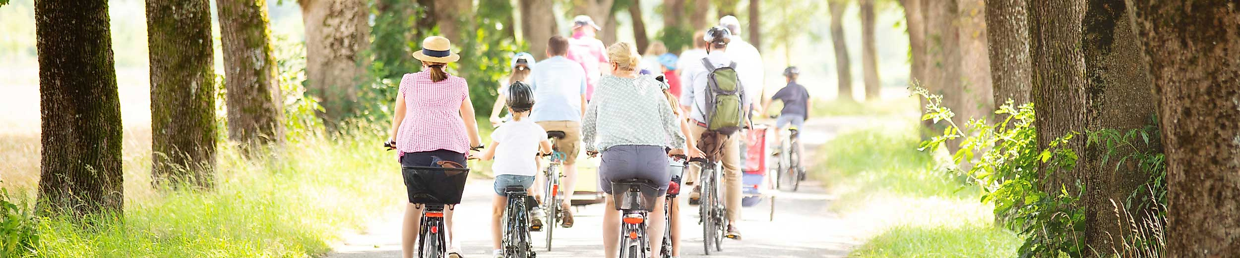 Gruppe von Radfahrer:innen auf schattigem Waldweg bei geführter Radtour durch Hamburg