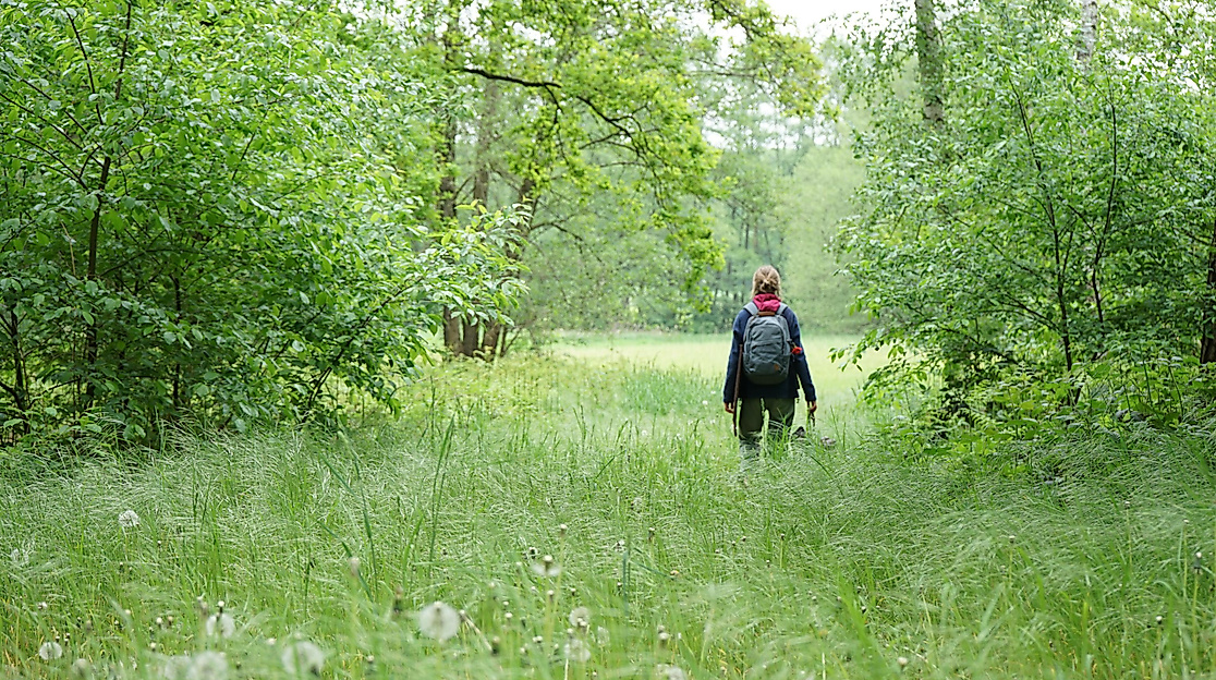 Naturgang