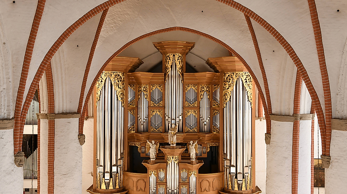 Arp-Schnitger-Orgel