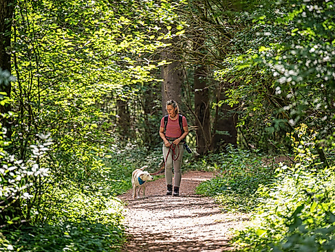 Pfotentour im Naturpark Lüneburger Heide