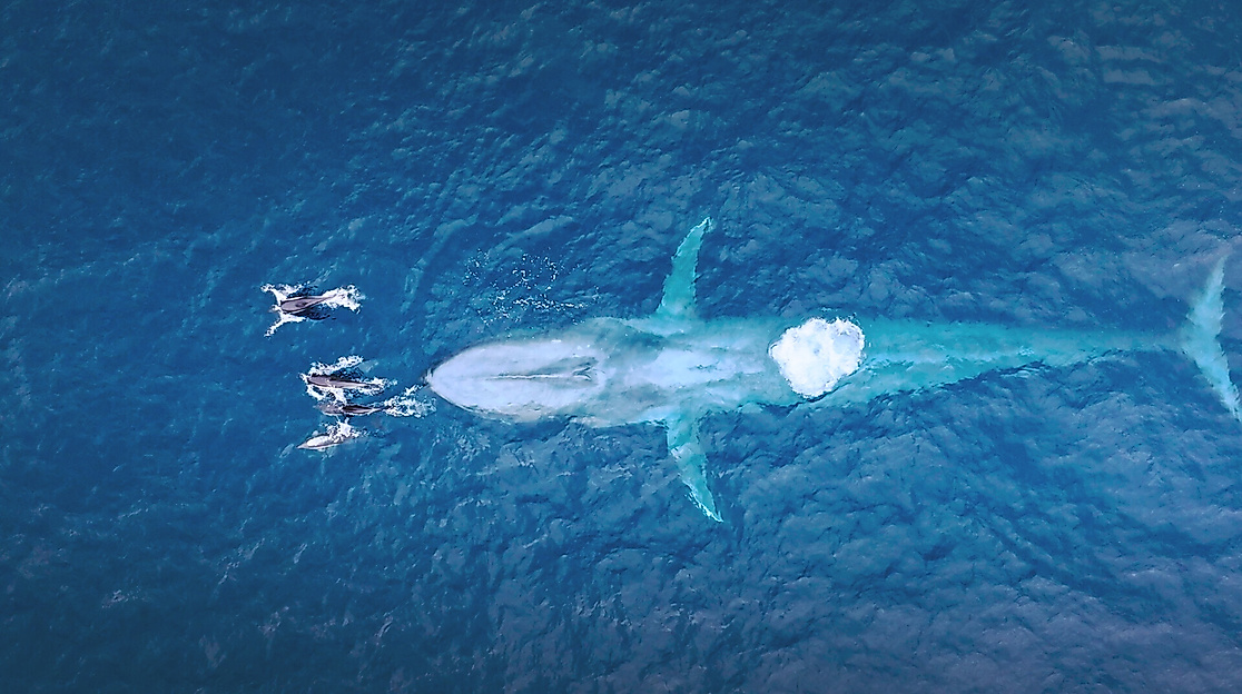 Faszination Europa - Ein Kontinent - Fünf Welten