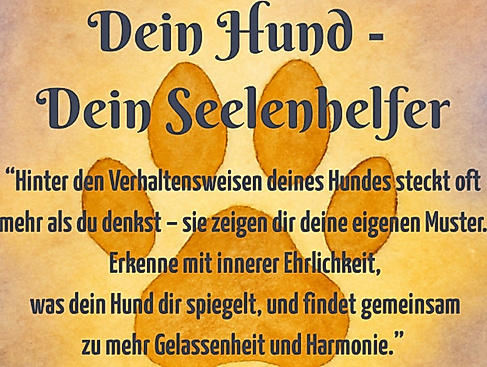 Hund 3zu2