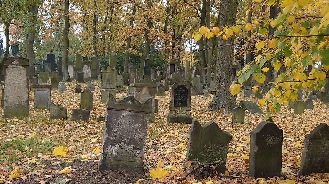 Friedhof Langenfelde