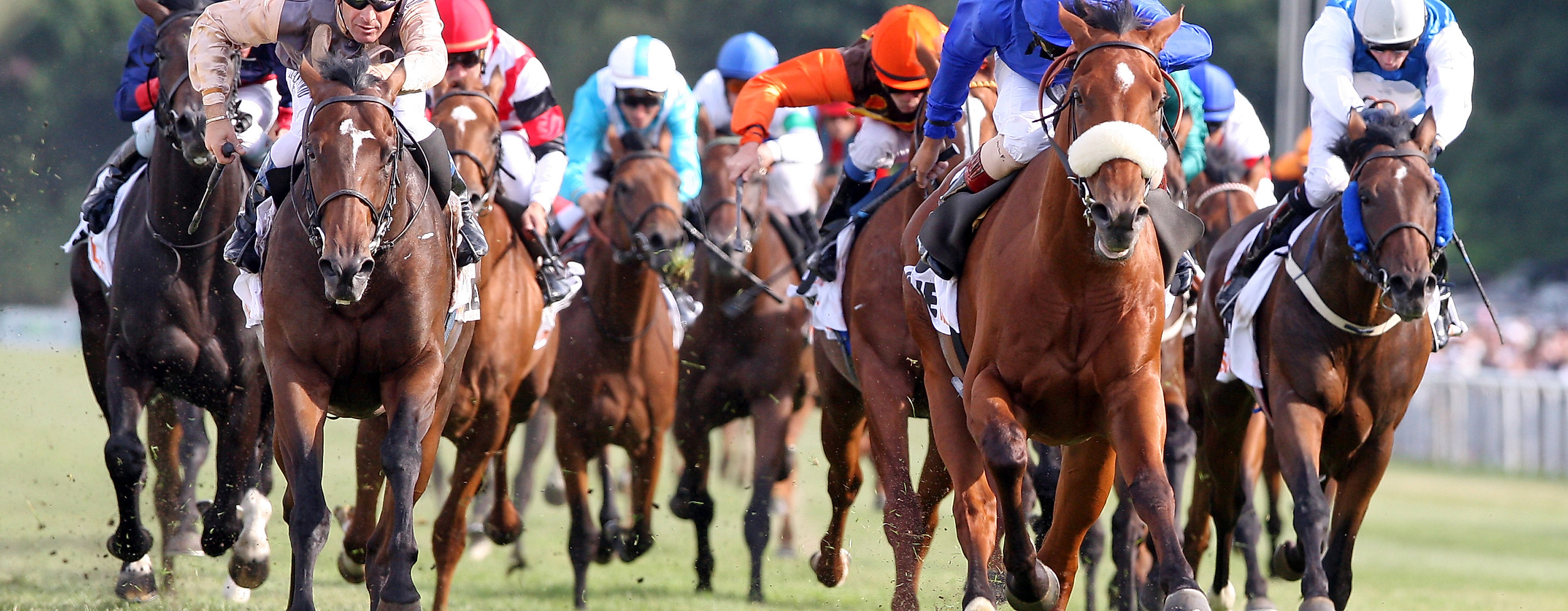 Deutsches Derby Hamburg