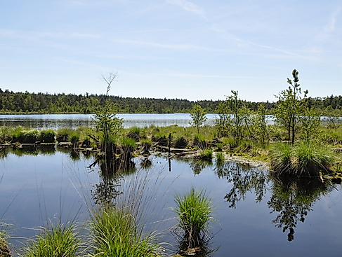 Von Walsrode zum Grundlosen See