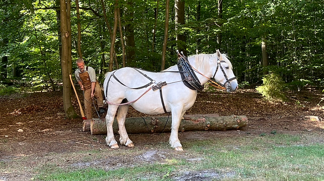 Holzrückepferd