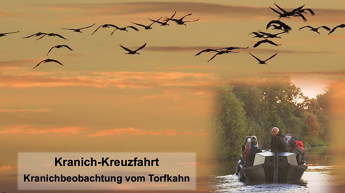 Kranich-Kreuzfahrt - Kranichbeobachtung mit dem Torfkahn