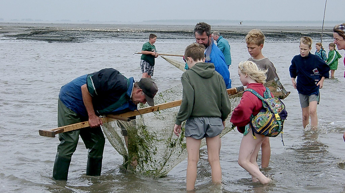 Wattführung mit Krabbenfischen