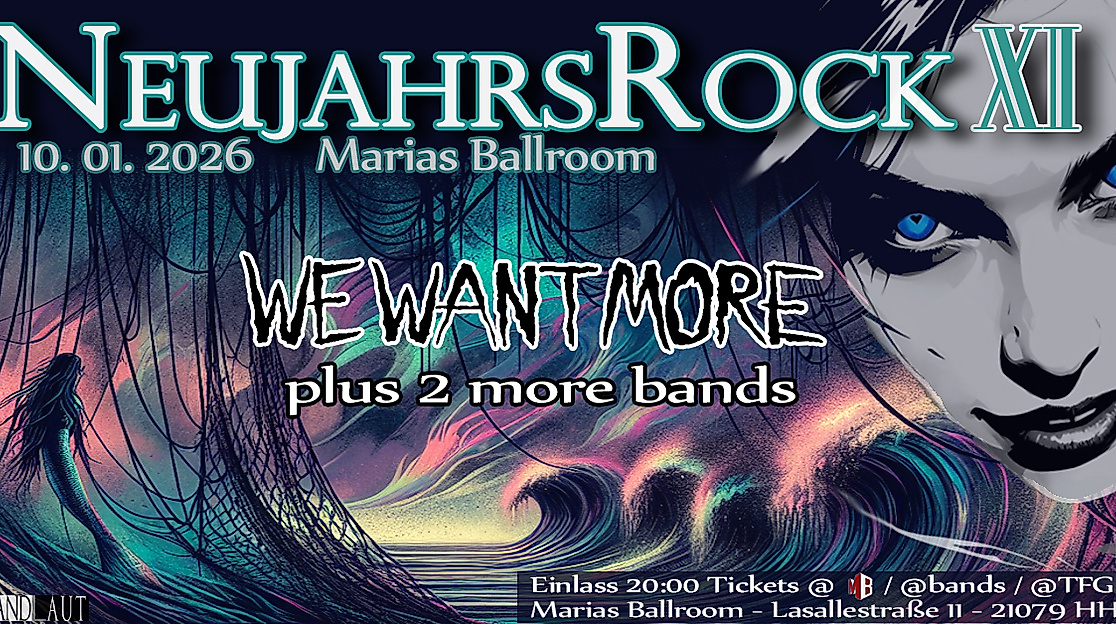 Neujahrsrock XI 260110 FB