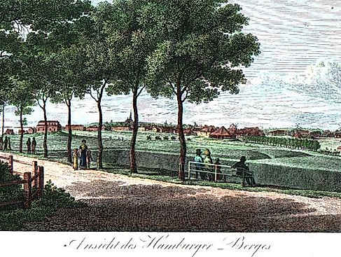 product-img-f3577c32fda6c4c2db8af6be71231233ba051705-full