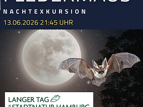 Nachtwanderung