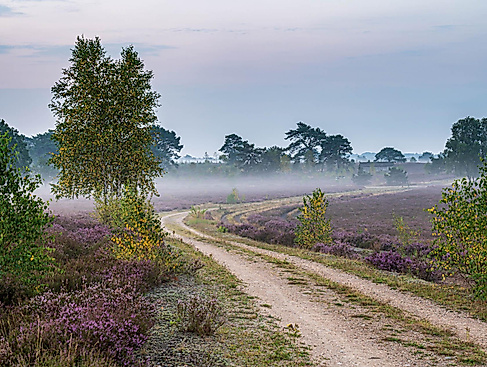 Vollmondwanderung auf dem Heidschnuckenweg