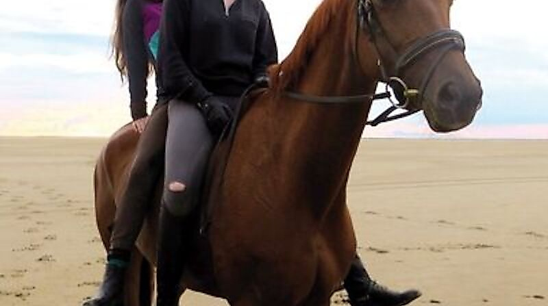Von Mädchen und Pferden | Of Girls and Horses | OmeU