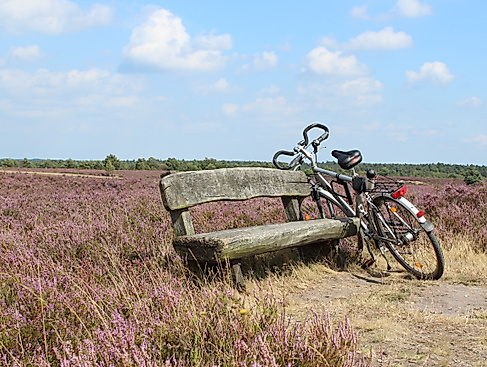 radtour_2
