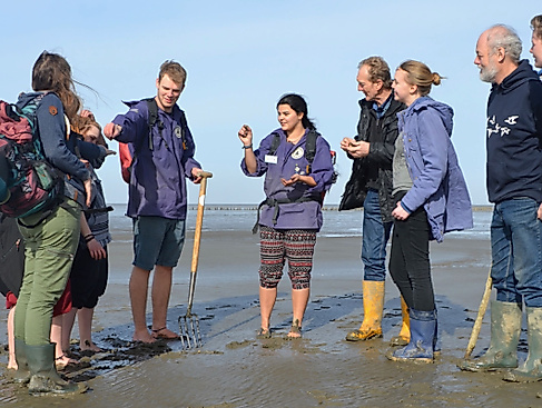 Führung: Wattwanderung vor dem Meldorfer Speicherkoog