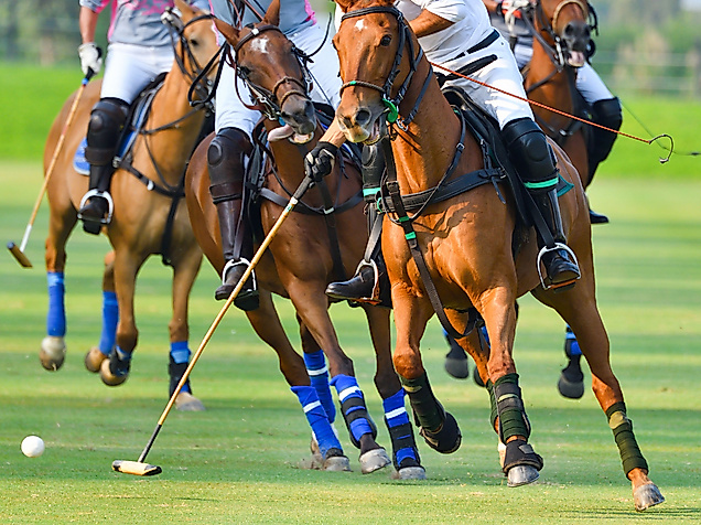Polospiel in Hamburg