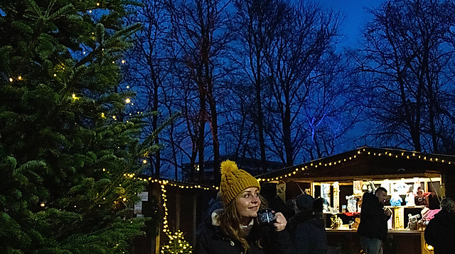 Musik unterm Tannenbaum